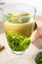 2023 New Tea Songyang Fragrant Tea