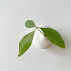 Round handmade ceramic vase