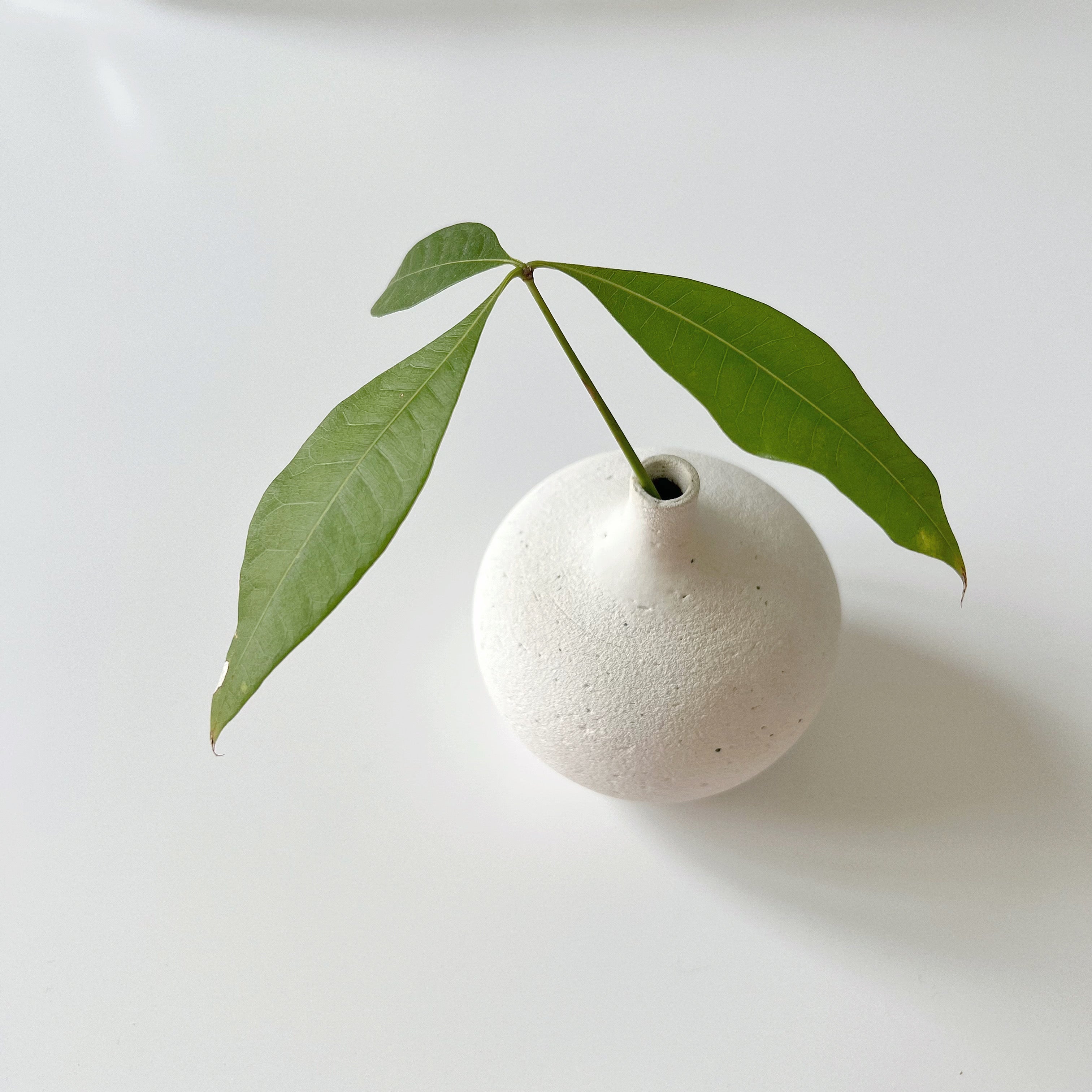 Round handmade ceramic vase