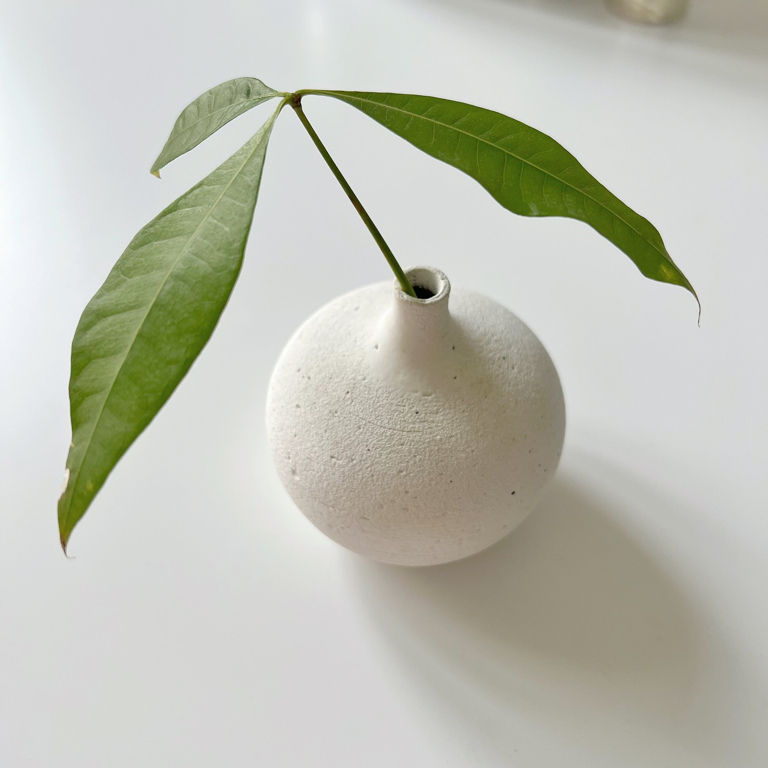 Round handmade ceramic vase